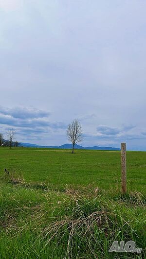 Продава поземлен имот в село Палици, Еленски балкан Sale 2500 sq. m. Regulated (RLE) Without electricity Without water | Land for development, Investment projects | Palitsi