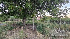 Парцел в с. Калчево Sale 965 sq. m. Regulated (RLE) Without electricity Own water source | Land for development, Investment projects | Kalchevo