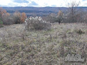 Поземлен имот за продажба Sale 1090 sq. m. Not regulated Without electricity Without water | Land for development, Investment projects | Sheremetya