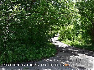 Голям парцел за строителство в Скрибътна, Рибарица. Sale 2435 sq. m. Regulated (RLE) With electricity Water pipe | Land for development, Investment projects | Скрибътна Teteven