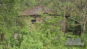 Парцел на 8 км от Вършец Sale 1500 sq. m. Regulated (RLE) With electricity Water pipe | Land for development, Investment projects | Долно Озирово Varshets