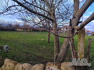 Дворно място в село Крушаре Sale 1150 sq. m. Regulated (RLE) Without electricity Own water source | Land for development, Investment projects | Krushare