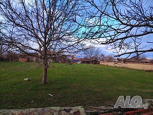 Дворно място в село Крушаре Sale 1250 sq. m. Regulated (RLE) Without electricity Own water source | Land for development, Investment projects | Krushare