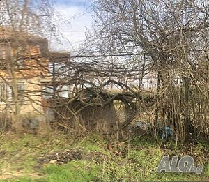 Дворно място в с. Струпец Sale 690 sq. m. Regulated (RLE) Without electricity Without water | Land for development, Investment projects | Strupets