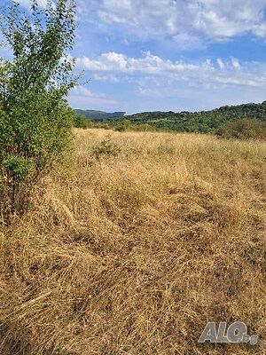 Парцел 3605 кв.м в гр. Севлиево м-т”Севлиевски Лозя”/ренски л-ди Sale 3605 sq. m. Regulation pending Without electricity Without water | Land for development, Investment projects | в.з.”Севлиевски  Лозя” Sevlievo