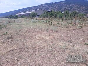 Продава парцел Sale 800 sq. m. Regulated (RLE) Without electricity Without water | Land for development, Investment projects | Shivachevo