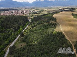 Горски имот 21 дка | с. Баня (Разлог), местност „Меча дупка” - с достъп до път Sale 21001 sq. m. Not regulated Without electricity Without water | Land for development, Investment projects | Banya