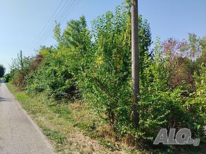 Продавам парцел с. Батак общ. Павликени Sale 1540 sq. m. Regulated (RLE) Without electricity Without water | Land for development, Investment projects | Batak