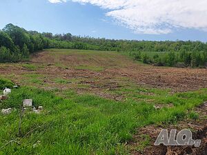 Парцел Шереметя Sale 7145 sq. m. Not regulated Without electricity Without water | Land for development, Investment projects | Sheremetya