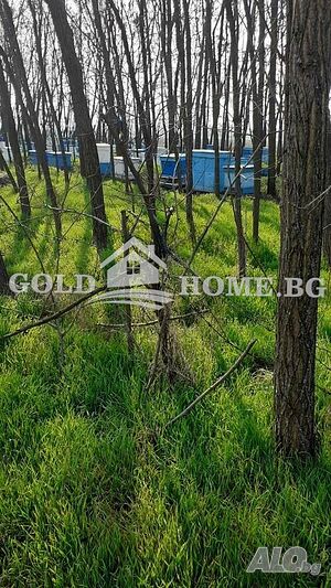 Земеделска земя със сонда - Царацово № 6130 Agricultural land 6000 sq. m. Not specified | Agricultural land, Orchards, Vineyards, Forests | Tsaratsovo