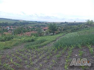 Уникален парцел Sale 760 sq. m. Regulated (RLE) Without electricity Without water | Land for development, Investment projects | Село рояк Dalgopol