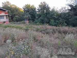 Парцел в с. Рани лист Sale 780 sq. m. Regulated (RLE) With electricity Water pipe | Land for development, Investment projects | Rani list