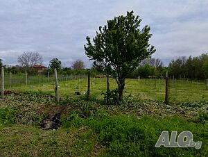 Дворно място Sale 1300 sq. m. Regulated (RLE) Without electricity Water pipe | Land for development, Investment projects | Rusokastro
