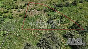 Земеделска земя на първа линия от яз. Батак Grazing ground 873 sq. m. Seventh category | Agricultural land, Orchards, Vineyards, Forests | Cigov chark (locality)