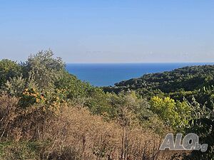 Продава Къща 2 - storey 203 sq. m. built-up area 806 sq. m. courtyard | Houses / Villas | Topola