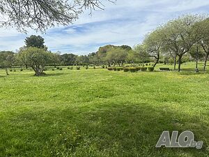 Давам под наем за 10 г. земеделска земя Земеделска земя 1 sq. m. | Land, Terrains | Маломир Tenevo