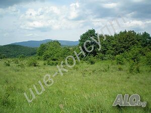 Парцел за жилищно строителство в Еленския балкан Sale 10000 sq. m. Regulated (RLE) Without electricity Without water | Land for development, Investment projects | Chakali