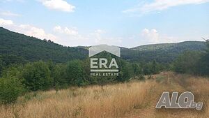 Ера Дом предлага за продажба парцел в землището на с. Пряпорец Sale 2021 sq. m. Regulated (RLE) Without electricity Without water | Land for development, Investment projects | Pryaporets