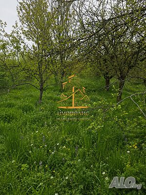 🥳Парцел - село Левски, Област Варна (Обява N:308133)🥳 Sale 1353 sq. m. Regulated (RLE) Without electricity Without water | Land for development, Investment projects | Levski