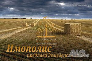 🍀 Парцел - село Левски, Област Варна (Обява N:528832) 🍀 Sale 5000 sq. m. Not regulated Without electricity Without water | Land for development, Investment projects | Levski