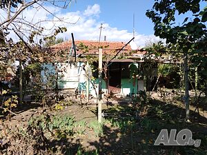 Едноетажна тухлена къща в с. Младово, с много и различни насаждения 1 - storey 36 sq. m. built-up area 935 sq. m. courtyard | Houses / Villas | Mladovo