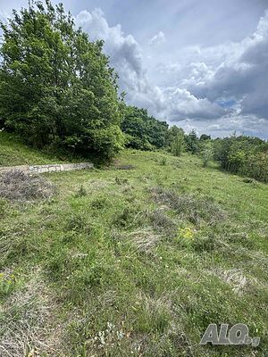Земеделска земя в с. Делвино Agricultural land 1001 sq. m. Sixth category | Agricultural land, Orchards, Vineyards, Forests | Delvino