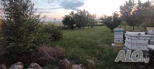 Парцел в село Пленимир общ. Ген. Тошево Sale 1500 sq. m. Regulated (RLE) With electricity Water pipe | Land for development, Investment projects | Plenimir