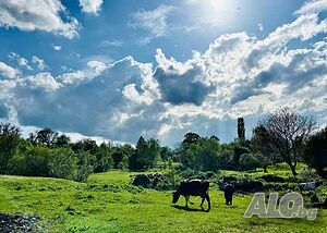 Парцел в регулацията на село Буховици Sale 700 sq. m. Regulated (RLE) With electricity Water pipe | Land for development, Investment projects | Buhovtsi