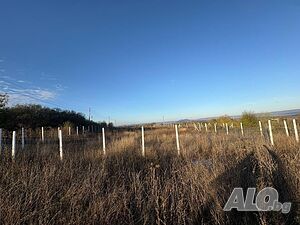 2200 кв.м. Парцел в с. Овчарово подходящ за ФЕЦ Agricultural land 2200 sq. m. Fourth category | Agricultural land, Orchards, Vineyards, Forests | Ovcharovo