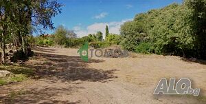 Парцел със становище за ток и вода в село Хрищени Sale 1378 sq. m. Regulated (RLE) With electricity Water pipe | Land for development, Investment projects | Hrishteni