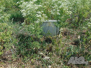 Земеделска земя с ток и вода в с. Съдиево Sale 12000 sq. m. Not regulated With electricity Own water source | Land for development, Investment projects | м.Азмака Sadievo