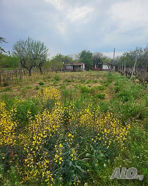 Продава се парцел в Мало Конаре Sale 920 sq. m. Regulated (RLE) With electricity Without water | Land for development, Investment projects | Malo Konare