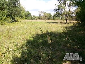 Дворно място в село Деница, обл. Ямбол Sale 700 sq. m. Regulated (RLE) With electricity Water pipe | Land for development, Investment projects | Dennitsa