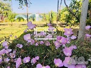 Къща с Двор, с. Радко Димитриево 1 - storey 166 sq. m. built-up area 2487 sq. m. courtyard | Houses / Villas | Radko Dimitrievo