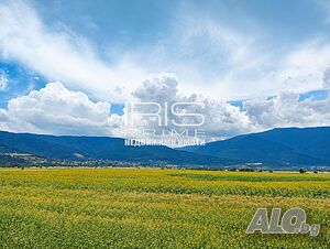 Парцел кв. Калугерица /гр. Каспичан/ Sale 1850 sq. m. Regulated (RLE) Without electricity Without water | Land for development, Investment projects | Kaspichan
