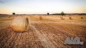Продава Земеделски земи обл. Плевен Agricultural land 26973 sq. m. Third category | Agricultural land, Orchards, Vineyards, Forests | Sanadinovo