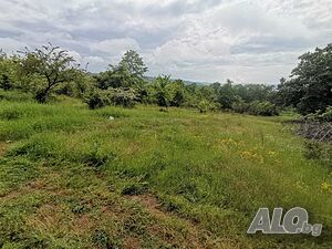 Парцел в село Паницово Sale 4107 sq. m. Regulated (RLE) With electricity Own water source | Land for development, Investment projects | Panitsovo
