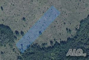 Продавам земя в с. Костанденец Agricultural land 8701 sq. m. Third category | Agricultural land, Orchards, Vineyards, Forests | Kostandenets