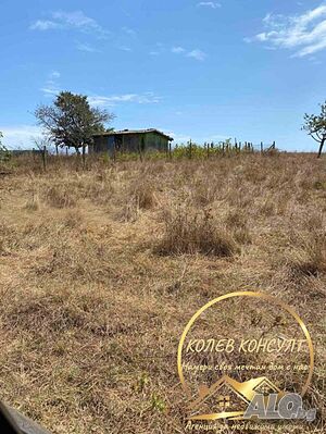 продавамПАРЦЕЛ (УПИ) в с. Равадиново. Sale 500 sq. m. Regulated (RLE) With electricity Water pipe | Land for development, Investment projects | Ravadinovo