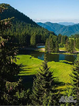 Продава се Парцел в к.к. Пампорово Sale 333 sq. m. Regulated (RLE) With electricity Water pipe | Land for development, Investment projects | Томов чучур Pamporovo (resort)