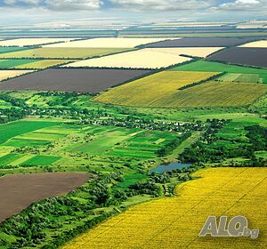 ПРОДАВА!!! Земеделска земя район с. Свобода - общ. Добрич! Agricultural land 12500 sq. m. Third category | Agricultural land, Orchards, Vineyards, Forests | Svoboda