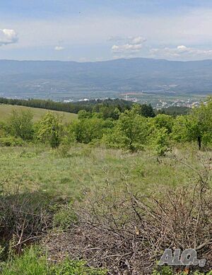 Капитал Инвест продава перфектен поземлен имот в с. Делвино Orchard 1034 sq. m. Ninth category | Agricultural land, Orchards, Vineyards, Forests | Delvino
