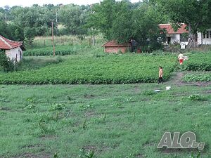 Къща, Стара Загора, село Пъстрен 1 - storey 200 sq. m. built-up area 5000 sq. m. courtyard | Houses / Villas | Pastren