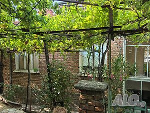 Ново село юг, в тиха и спокойна улица 1 - storey 60 sq. m. built-up area 220 sq. m. courtyard | Houses / Villas | Novo Selo Sliven