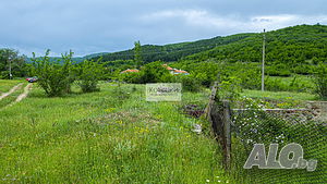 Продава се къща с двор в подножието на Стара планина 1 - storey 417 sq. m. built-up area 2800 sq. m. courtyard | Houses / Villas | Malko Chochoveni