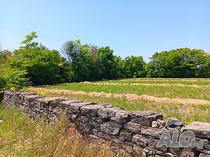 Продава се парцел с малка постройка в село Младово Sale 1800 sq. m. Regulated (RLE) With electricity Water pipe | Land for development, Investment projects | Mladovo