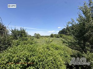 Продажба 20000 кв.м Не е в регулация Sale 20000 sq. m. Not regulated | Land for development, Investment projects | Levski
