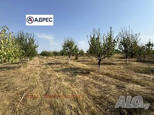 Продажба 8000 кв.м Не е в регулация Sale 8000 sq. m. Not regulated | Land for development, Investment projects | Nefela