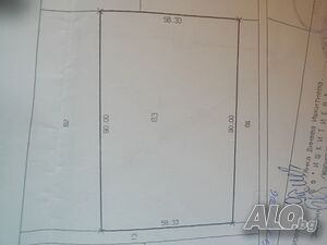 Валентина Маринова Agricultural land 50000 sq. m. Third category | Agricultural land, Orchards, Vineyards, Forests | Община Карнобат Dragovo