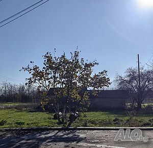 Парцел в с. Кочево с ток, до асфалтирана улица Sale 640 sq. m. Regulated (RLE) With electricity Without water | Land for development, Investment projects | Kochevo